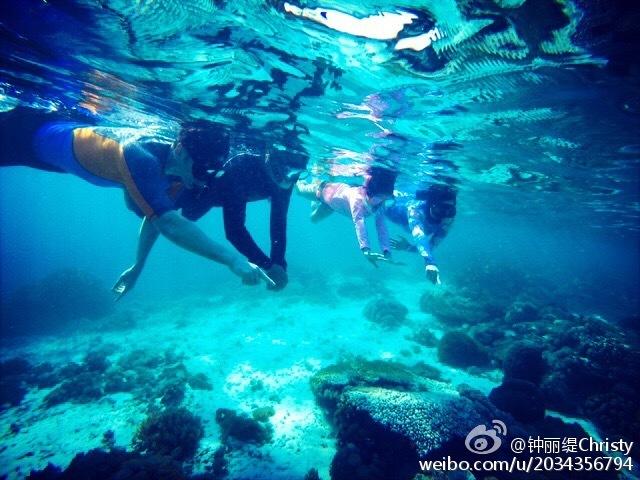 游戏开发者